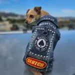 dog vest size guide
