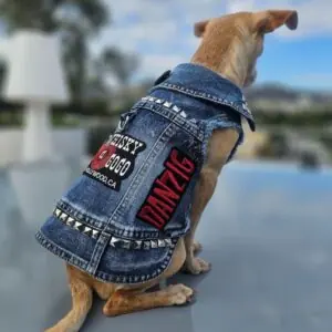 best dog park outfit