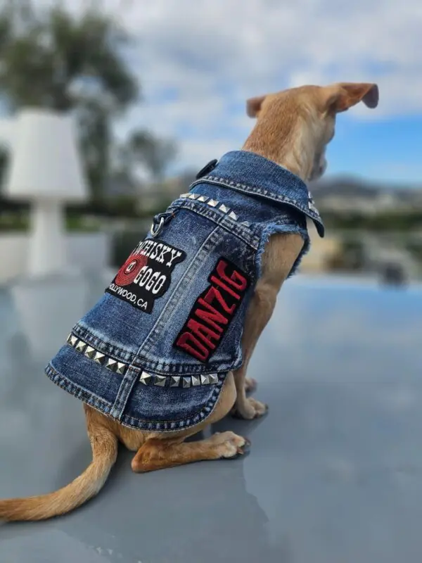 best dog park outfit