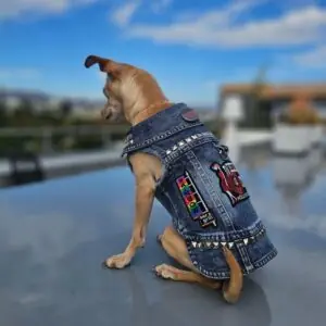 gifts for dog lovers who like metal