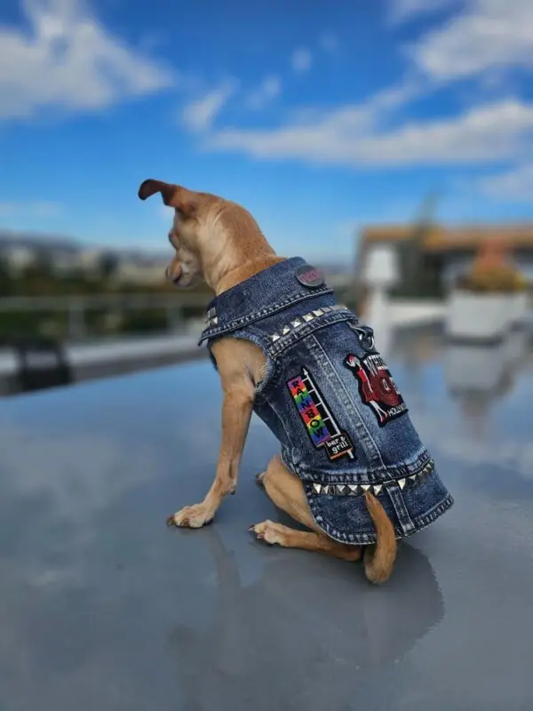 gifts for dog lovers who like metal