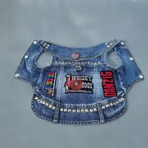 pet photography ideas rock theme