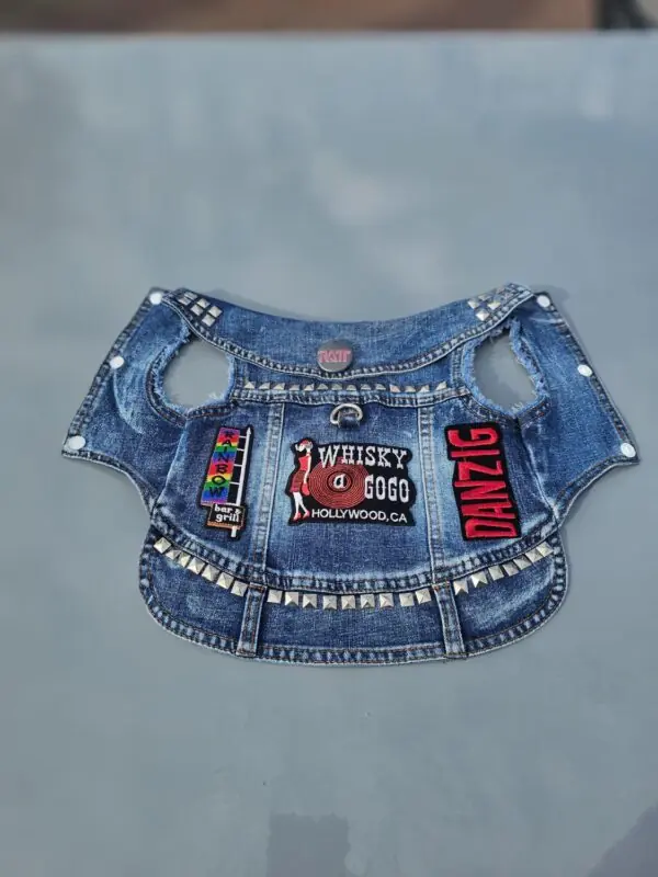 pet photography ideas rock theme