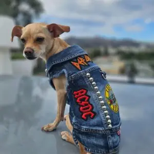 how to sew patches on dog clothes