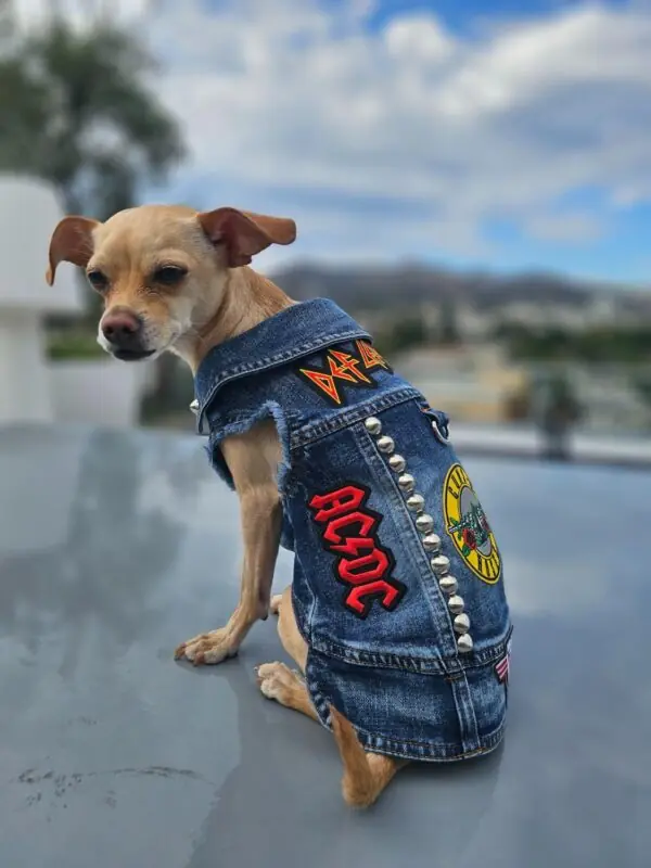 how to sew patches on dog clothes