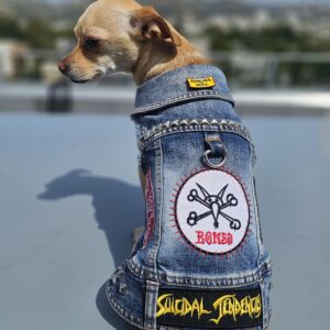Skater Vest