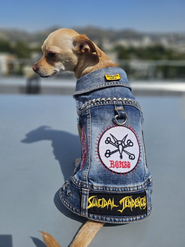 Skater Vest