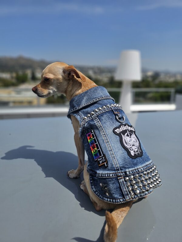 LA Local Vest