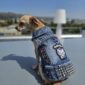 LA Local Vest