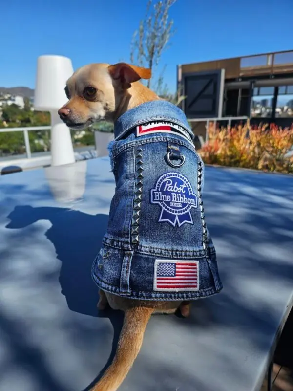 Blue Collar 3 - Hollywood Dog Threads | Customer made vests for dogs