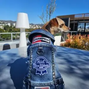 Blue Collar - Image 3