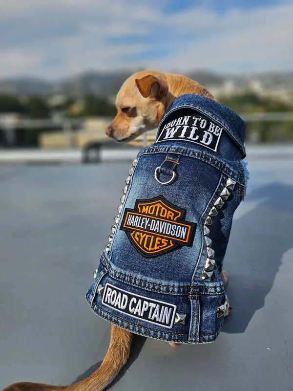 biker dog patched vest