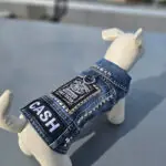 country dog patched vest